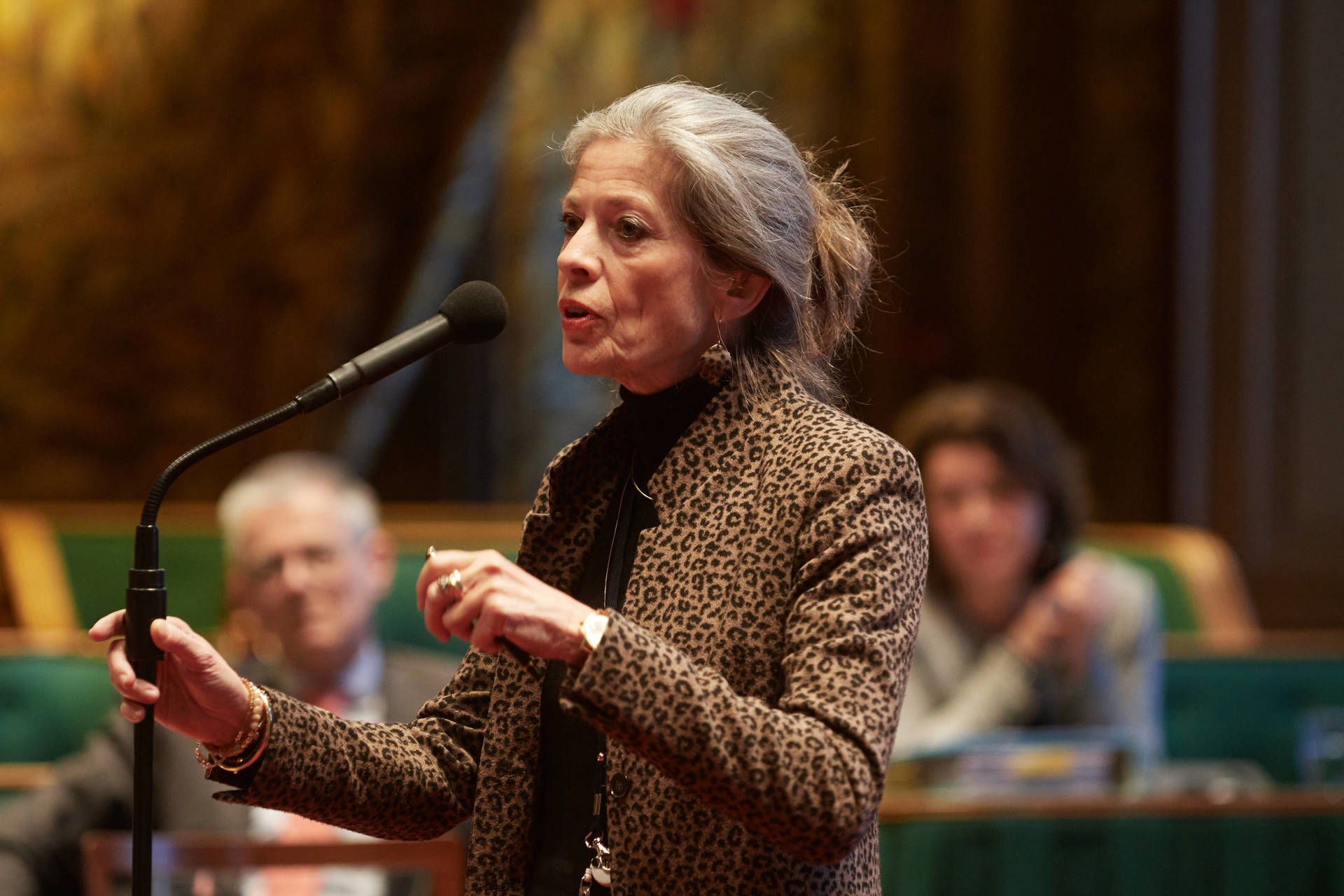 Senator Klip-Martin (VVD)