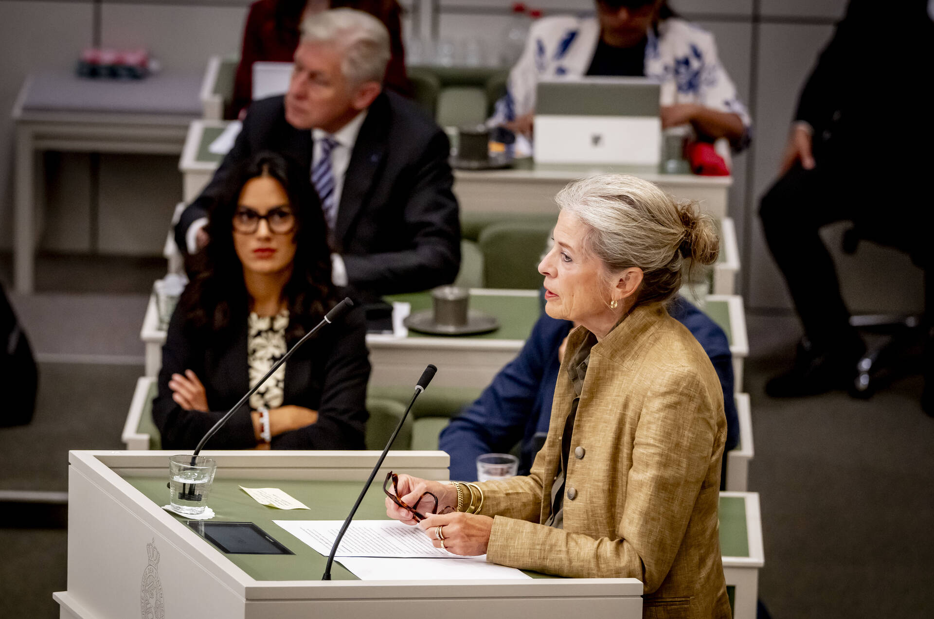 Senator Klip-Martin (VVD)