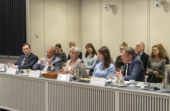 Deskundigen praatten senatoren bij tijdens een eerdere bijeenkomst over de staat van de rechtsstaat